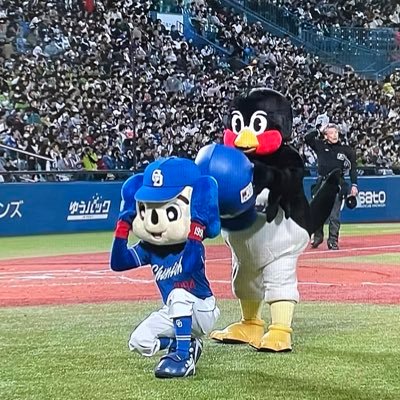 神宮球場でエビスビール買うさっしー