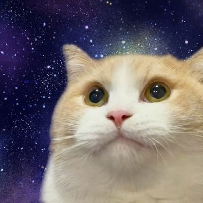 ツグナガ・タイフーン