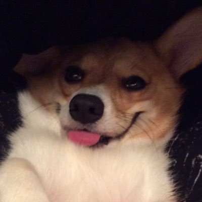 よしでん/yoshiden-menma