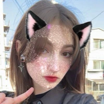 KPOP 콘서트 및 투어