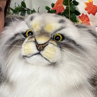 kaaaanaaaa🦞🦞🦞