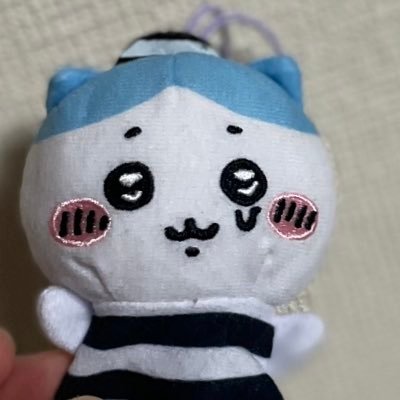 ぱちわれ（13）