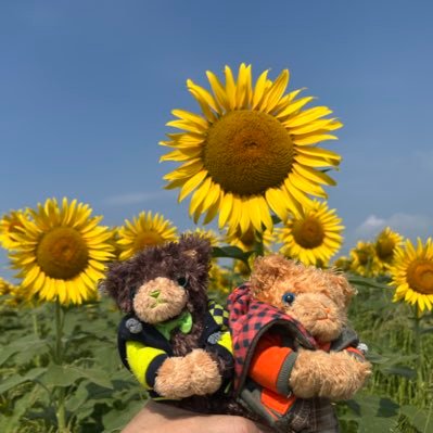 木馬 🎠 ﾎﾜｲﾄﾍﾞｰｽ ( White Base )