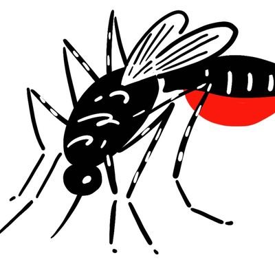 こし餡派を許さない縞蚊