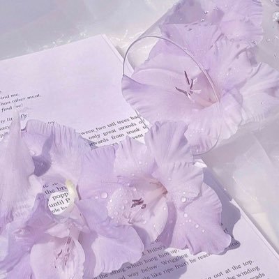 𝐾𝑎𝑛𝑎𝑑𝑒