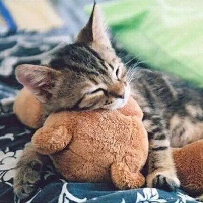 💘韓ドラマラソン💘