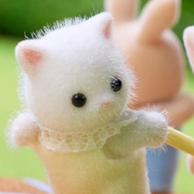 かにちゃん
