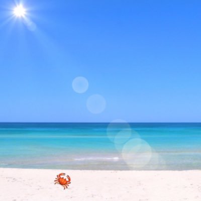 かにや👼🏽💎