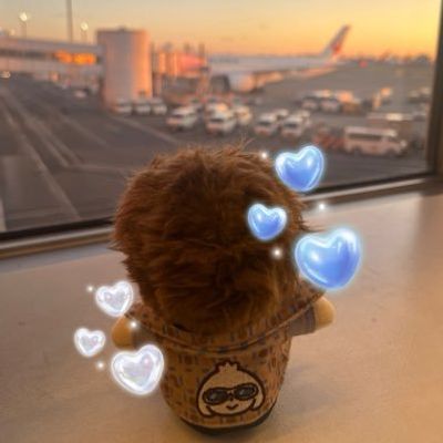 かお✻*˸ꕤ*˸*⋆。