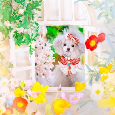 𝗸𝗮ӫ𝗿𝗶𝗻𝗻♡