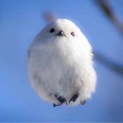 keitodekitayoけいとです