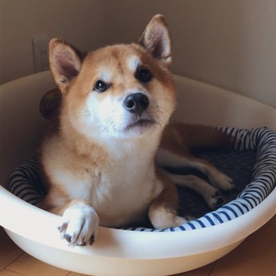 けんつけ🍒kana