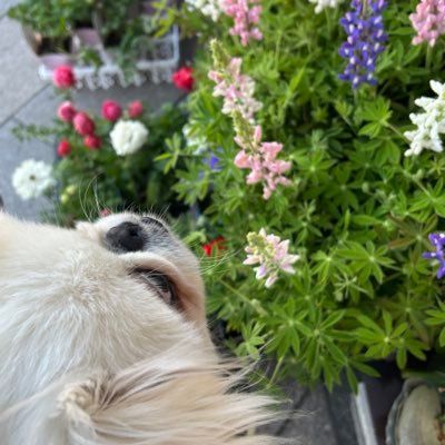 けやき＊MUZE &HONEYS🍯