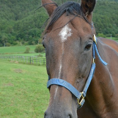 🐎K.KIMURA🐎URAKAWA