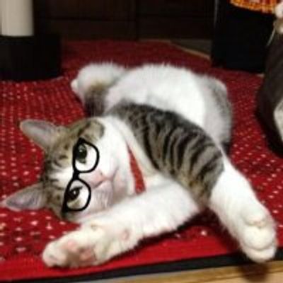 ゆー@次回発送→直近の平日