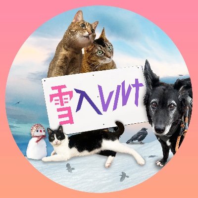 雪入レルナ ≒ ﾕｷｨﾚﾙﾅ ≒ 目立たない色符号