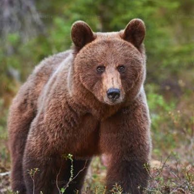 くまっち🐻💰