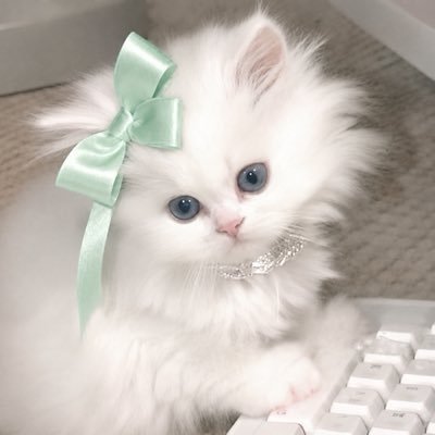 루ル♪
