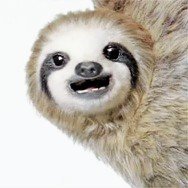 お米メモ