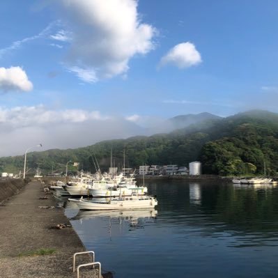こまこ🐟