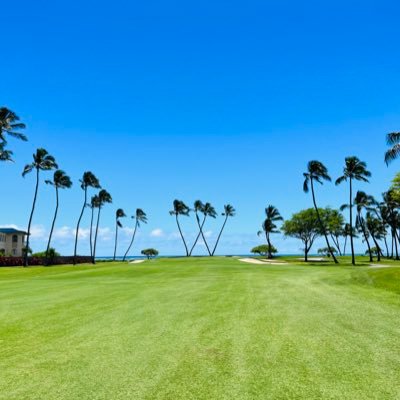 別れてスッキリしたので婚活頑張る