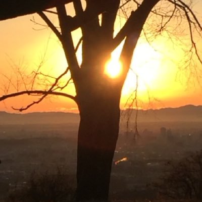 こんがりポテチ