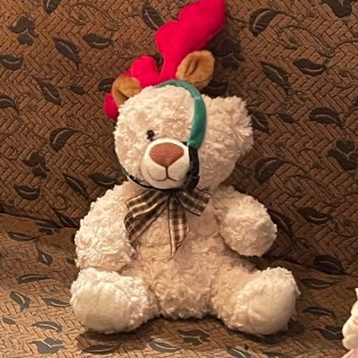 がんばってネ