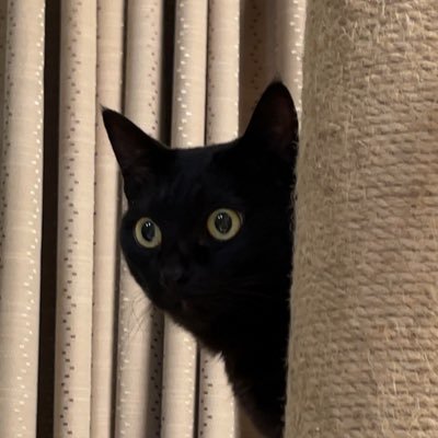 長月