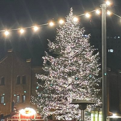 🎄