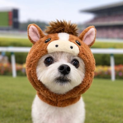 サキッポインザーギ🐶