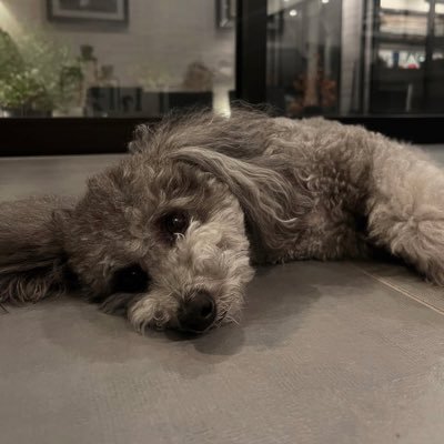 くらっぴー@韓国美容