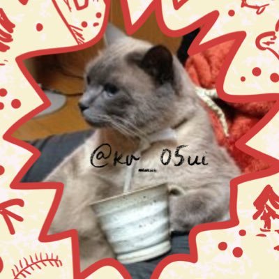 いたち𓏲𓎨🐾