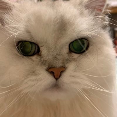 待場京子｜machiba kyoko