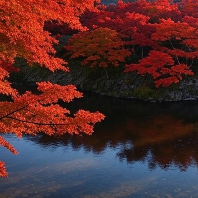 そうだ 京都、行こう。