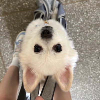 ㅇㄹ