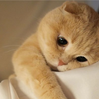 𝙺𝚊𝚘𝚛𝚞𝚗