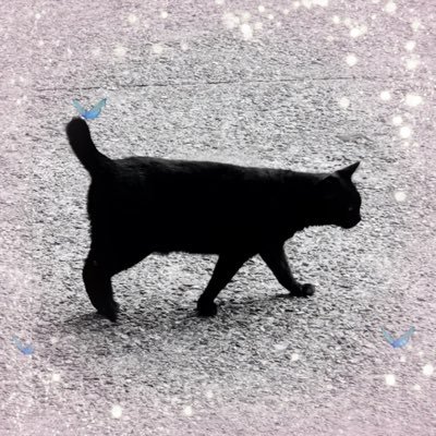 𝚋𝚕𝚞𝚎⁷🐈‍⬛