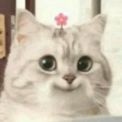 ｻﾜﾗ ^. .^ ੭