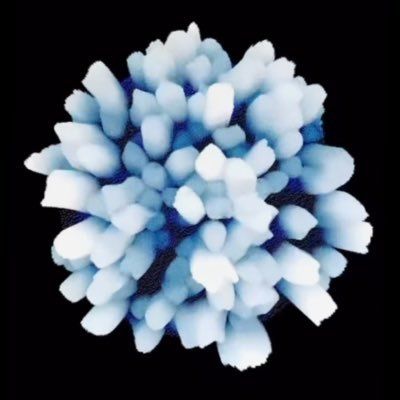 loom0x