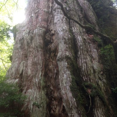 美しい女性の画像・動画を楽しむ