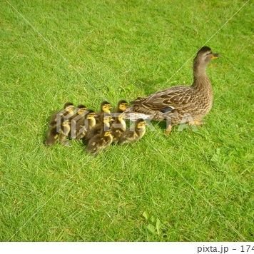 芸能界の闇と宗教、未解決解決事件