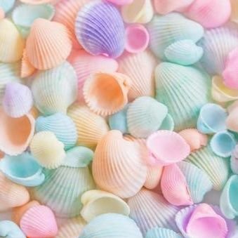 固定の注意書を読んで下さい🙇