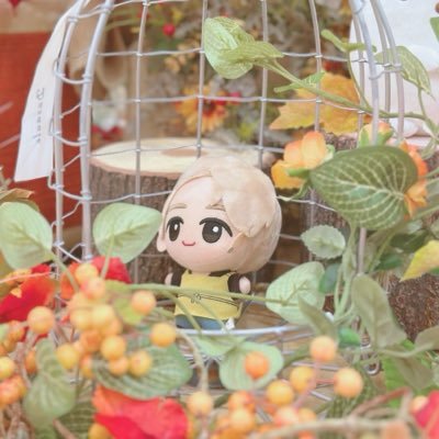 ℳ⋆꙳✮ ⟡ ࣪