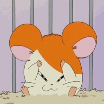 ちゃんと見なきゃ