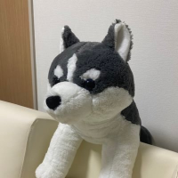 まなみ🌏⚖️🌻