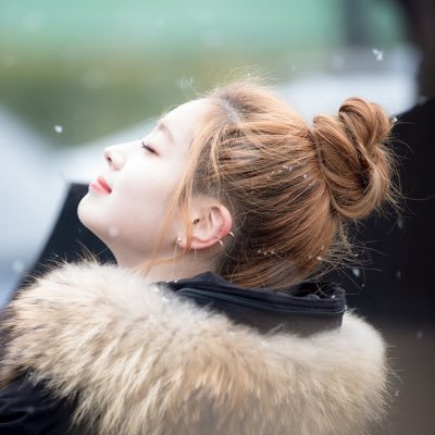 まーぼーどーふ