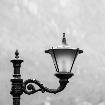 まほう野まほう