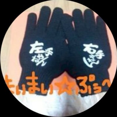 ウルトラマンとSEITOになりたい息子の母🐶