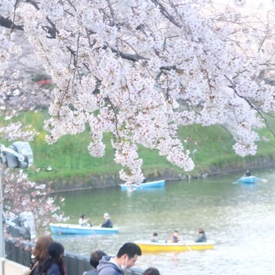 まめたろう7y +0y