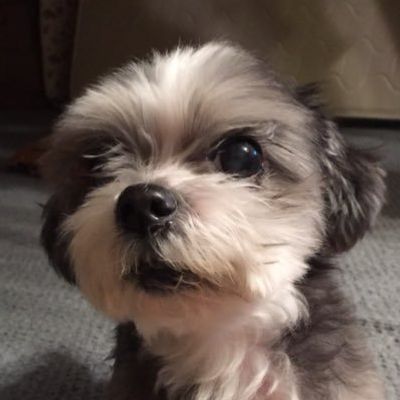 まりんたんライフ